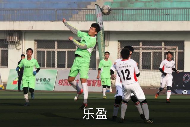 乐盈 公司简介